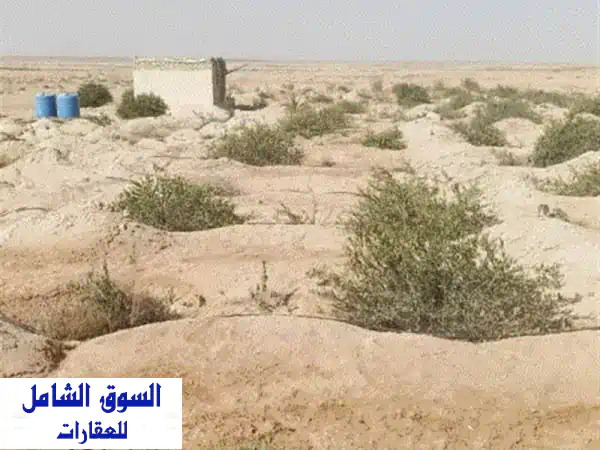 فرصة استثمارية ذهبية: مزرعة جوجوبا منتجة للبيع في وادي النطرون – طريق العدالة | طاقة شمسية