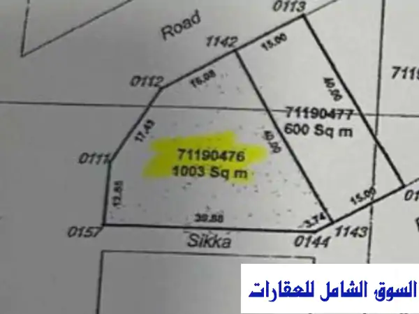 فرصة استثمارية ذهبية: أرض للبيع بالخريطيات - 1003م...