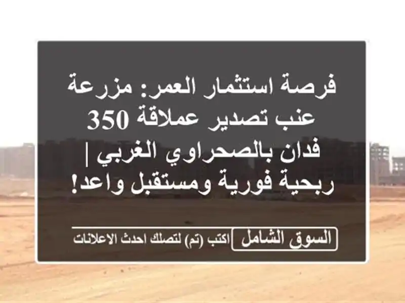 فرصة استثمار العمر: مزرعة عنب تصدير عملاقة 350...
