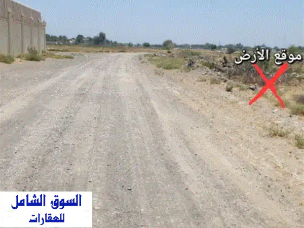 فرصة لا تعوض: أرض سكنية زاوية في كلباء، السور 4 |...