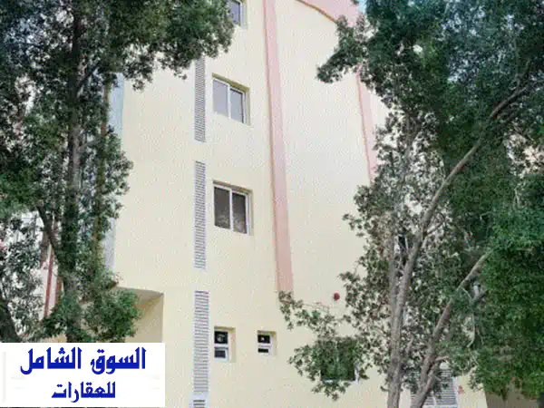 فرصة استثمارية ذهبية: بناية 25 استوديو مجددة بالكامل في مويلح بدخل سنوي يصل إلى 450 ألف!