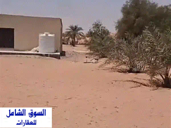 مزرعة الأحلام للبيع في العين، الهير | استثمار زراعي جاهز 140 نخلة | قرب دبي