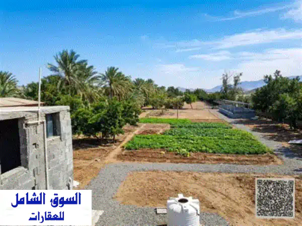 فرصة العمر بالفجيرة: مزرعة استثمارية وعائلية فاخرة للبيع بالفرفار 21000م² | إطلالة ساحرة وآبار مياه