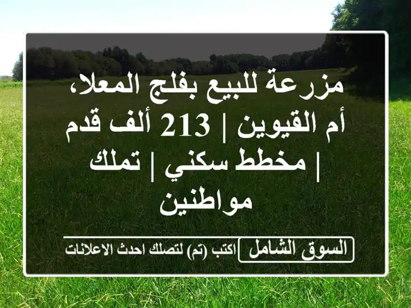 مزرعة للبيع بفلج المعلا، أم القيوين | 213 ألف قدم |...