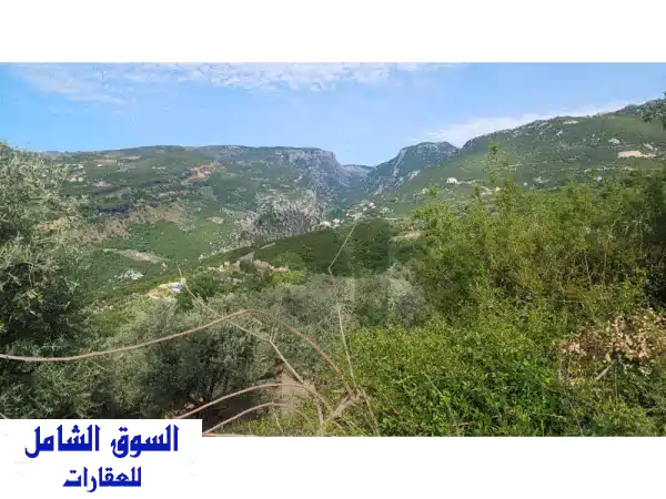 أراضي للبيع في دوما (لبنان): 3 عقارات زراعية...