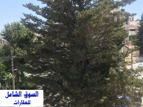 فرصة استثمارية نادرة: أرض للبيع في أم السماق 520م2 |...