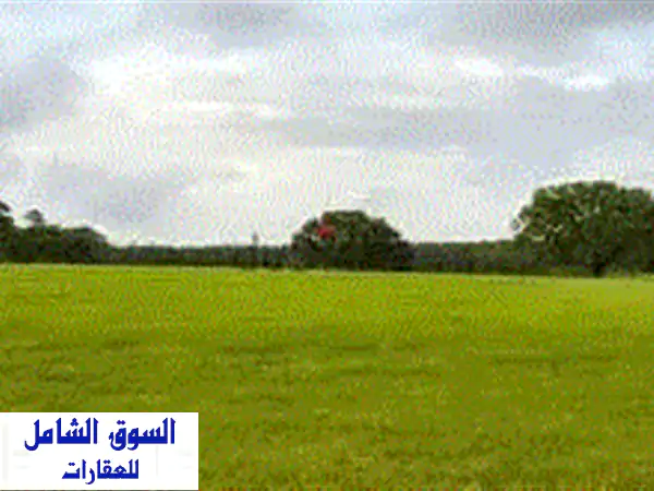 أرض للبيع مميزة بالزرقاء، الرصيفة - 500م سكن ج،...