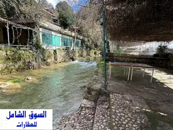 فرصة استثمارية ذهبية: كافيه للإيجار في عميق عاليه | إطلالة نهرية وأرض زراعية خصبة