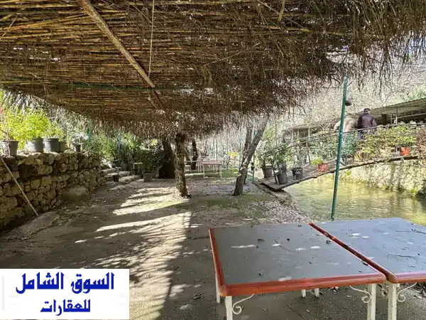 فرصة استثمارية ذهبية: كافيه للإيجار في عميق عاليه...