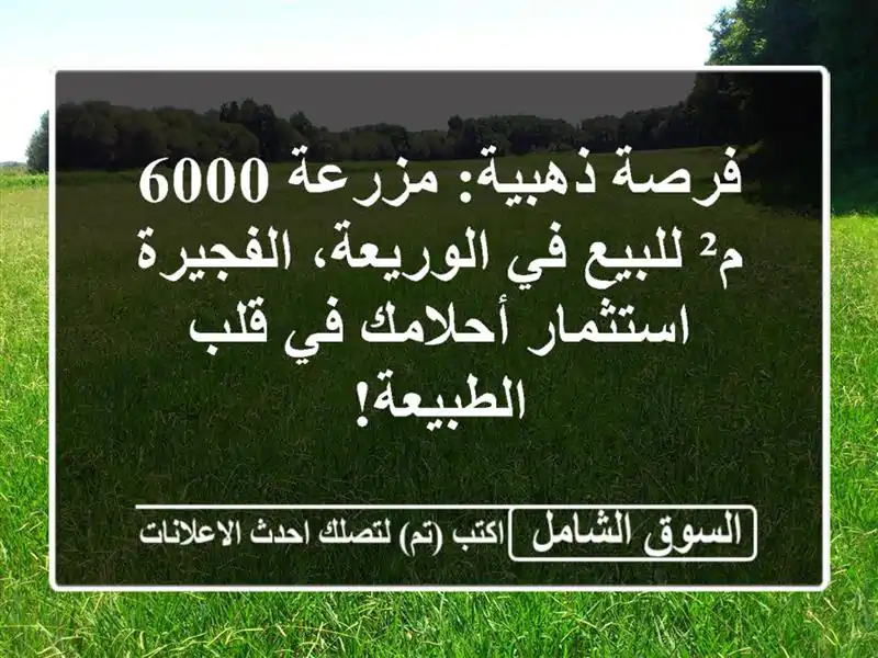 فرصة ذهبية: مزرعة 6000 م² للبيع في الوريعة، الفجيرة...