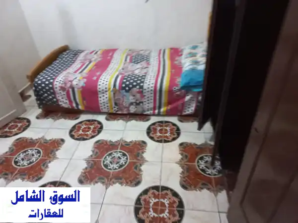 شقة مصيف فاخرة مفروشة للإيجار بالعجمي الهانوفيل 80م...