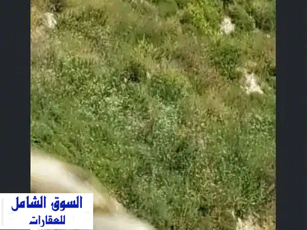 فرصة استثمارية ذهبية: أرض 100 ألف م² للبيع في عيتا الفخار، البقاع الغربي - جاهزة لمشروعك!