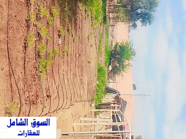 فرصة ذهبية: مزرعة متكاملة للبيع في أم القيوين - فلج المعلا | موقع استراتيجي 45 ألف قدم