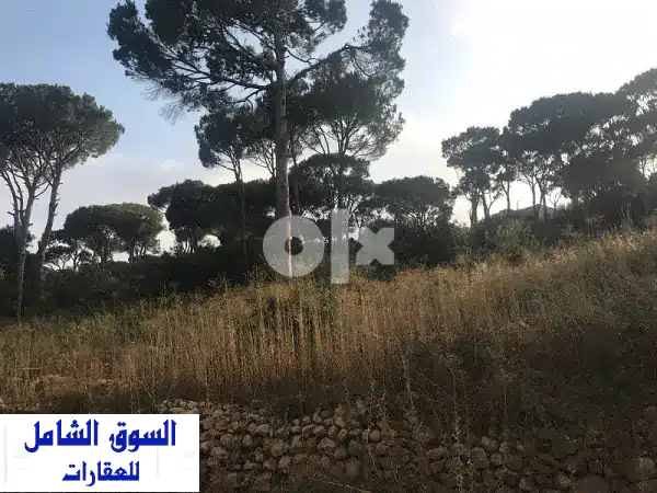 أرض للبيع في القصيبة، لبنان: إطلالة جبلية...