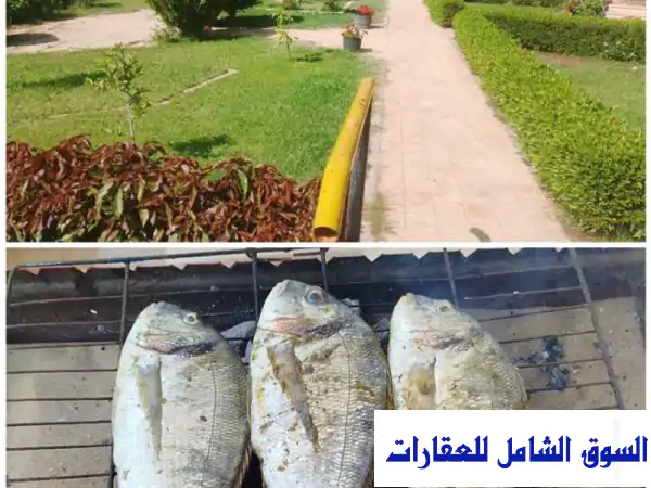 شالية للتصييف مفروشة للإيجار في فايد الإسماعيلية