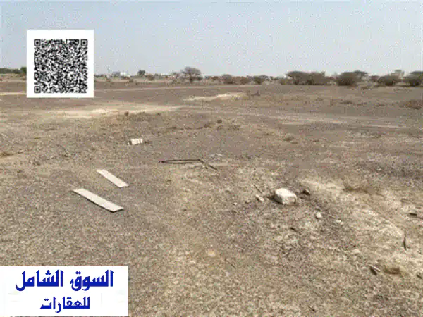 فرصة استثنائية! أرض للبيع في عجمان المنامة حواضن 8 | تملك حر، جاهزة للبناء، 5435 قدم، بسعر 225 ألف درهم