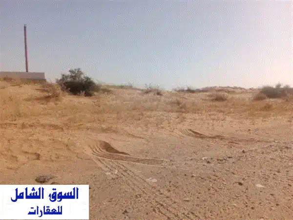 فرصة استثمارية استثنائية: أرض صناعية 10,000 قدم في الصجعة الصناعية، الشارقة | استثمار طويل الأجل بعائد 40 ألف سنوياً