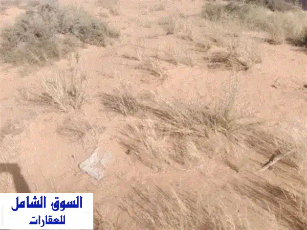 فرصة استثمارية استثنائية: أرض صناعية 10,000 قدم في...