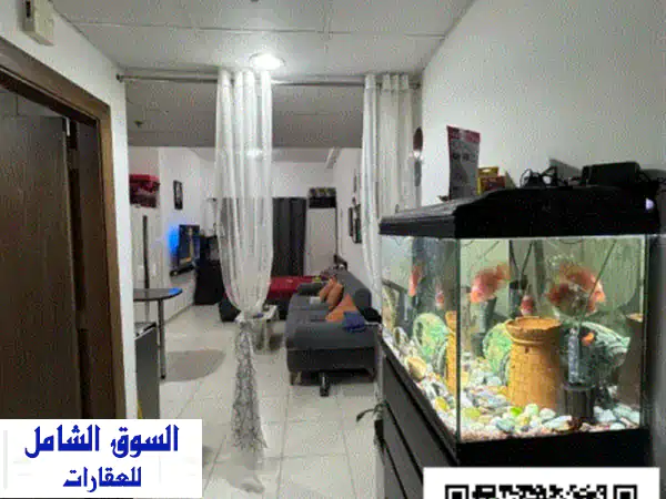 فرصة استثمارية ذهبية: استوديو ذكي للبيع في عجمان -...