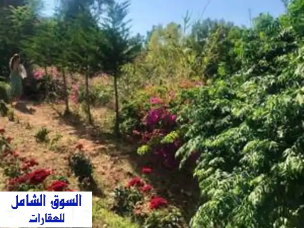 فرصة استثنائية: أرض 830م² للبيع في اليرزة، المتن -...