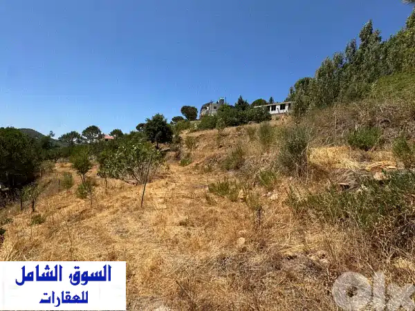 ارض للبيع معاصر الشوف  Lands for Sale  114918100