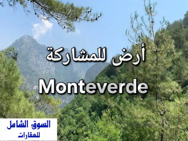 ارض للبيع او مشاركة منتفردي land for sale Monteverde  Lands for Sale...