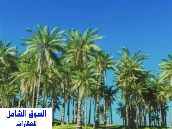 فرصة استثمارية ذهبية: عمارة فاخرة 364م بأرقى أحياء...