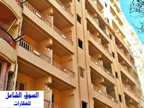 شقه مميزه جدا في النخيل 2
