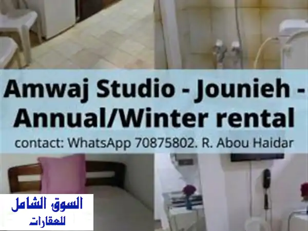 الإقامة السنوية  شارع جونيه الرئيسي
