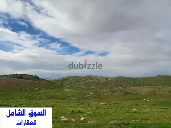 ارض للبيع في شفابدران زينات الربوع من المالك مباشره بسعر مغري جدا