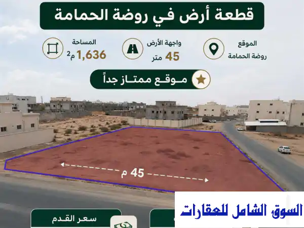 فرصة ذهبية: أرض للبيع بروضة الحمامة، الظعاين |...