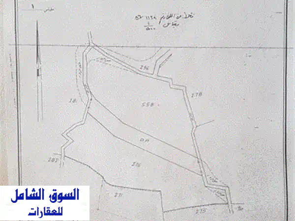 المرادية فتوح كسروان، صالحة للبناء وللزراعة ، فيها زيتون، أرض للبيع  Lands for Sale  115837582