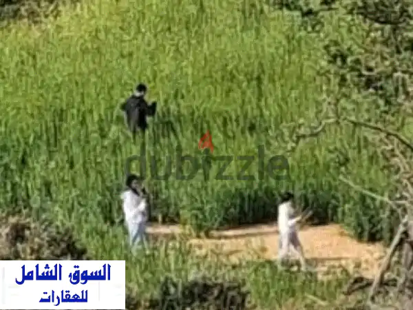 ارض سياحية زراعية