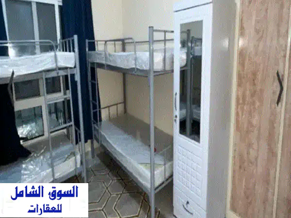 سكن شبابي منطقة الجرف 3 سكن عرب نظيف جدا في منطقة الجرف 3 جانب القبائل وفيفا السعر مناسب تبدأ من ...