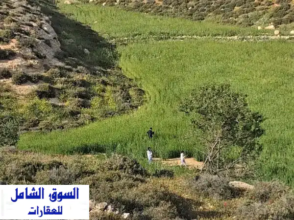 ارض سياحية زراعية