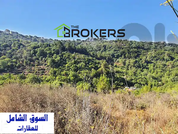 Land for Sale in Debbieh ارض للبيع في الدبية  Lands for Sale  116997209