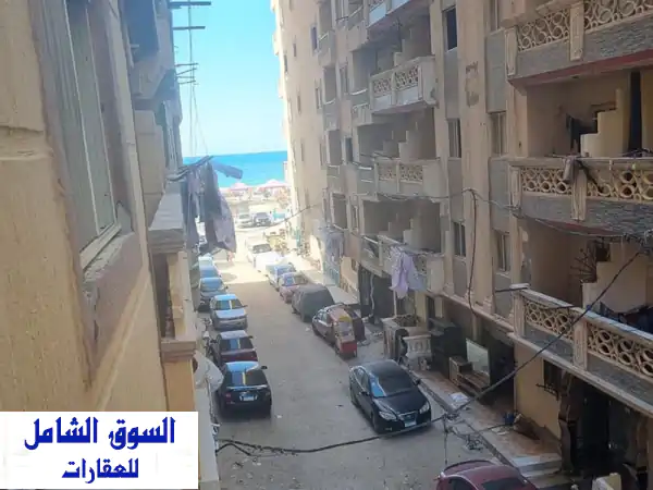 شقه فى الاسكندريه الكيلو 21 المهندسين زراعين...