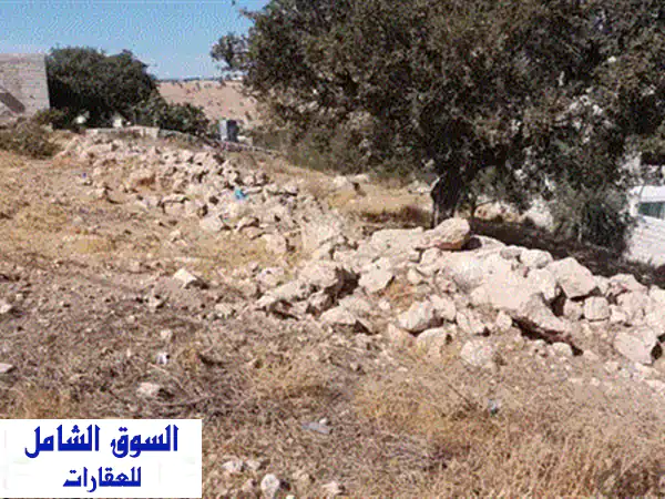 أرض الأحلام بالصور: للبيع 505م2 | استثمارك ومستقبلك يبدأ هنا!