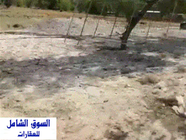 للبيع مزرعة في منطقة الباهية، قريبة من ديرفيلد مول وخلف مسلخ الشهامة ونادي الوحدة. المساحة 27,870 ...