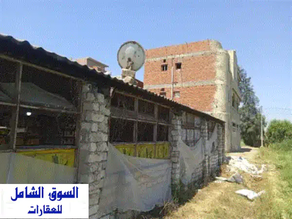 مزرعة فراخ في بالتاج قطور غربيه تصلح لتسمين الفراخ أو المواشي لو لمن يرغب في تصنيع البلاستيك ...