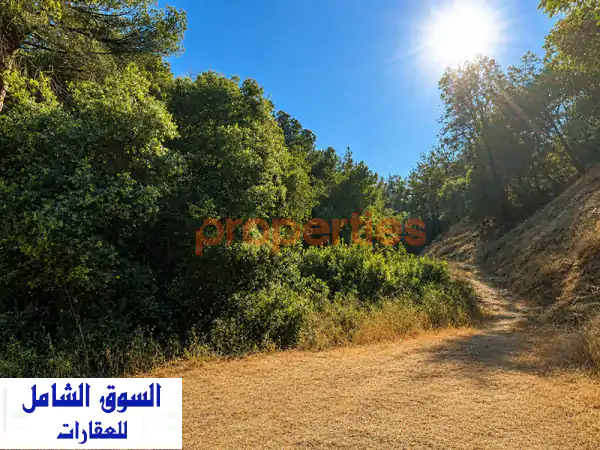 Land For Sale In Jeita ارض للبيع في جعيتا CPKGK04  Lands for Sale  116968567