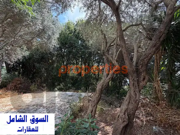 Land For Sale In Ain Saadeh  ارض للبيع في عين سعاده CPJW33  Lands for Sale...