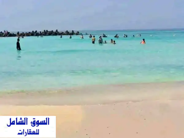 هتصيف وتستثمر بمقدم 100 الف وهتقسط الباقي ع 72 شهر...
