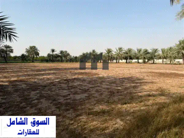 مزرعة للبيع في منطقة العجبان  المساحة 500*600 قدم...