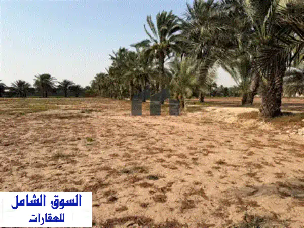 مزرعة للبيع في منطقة العجبان  المساحة 500*600 قدم  تحتوي على أشجار نخيل  سكن للعمال  مزودة ...