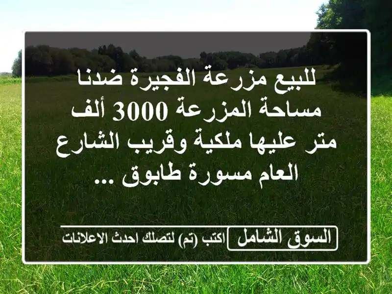 للبيع مزرعة الفجيرة ضدنا مساحة المزرعة 3000 ألف...