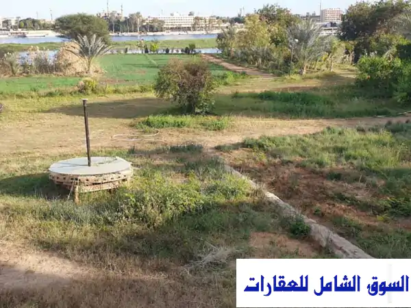 مطعم وكفتريا سياحي بلاقصر يطل على النيل مباشرة يعبر عن الطبيعة الريفية بة و نبات الموز للإيجار في القرنه الأقصر