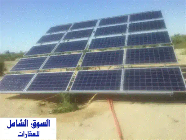 للبيع عشرة فدان مانجو، اعمار من 8 12 عام في السويس، جمعية الشباب الوطني مرحلة أولي، ماء (خط خاص من ...