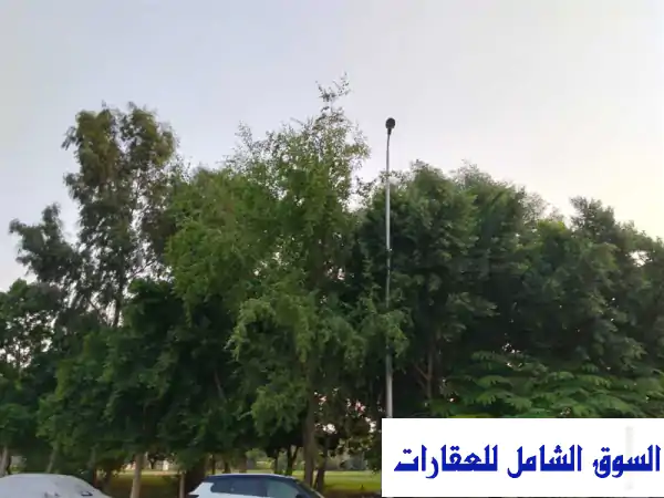 استوديو البنفسج للإيجار في التجمع الأول القاهرة