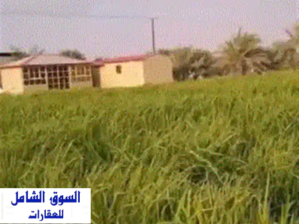للبيع مزرعة في مدينة العين، منطقة العراد. المساحة...